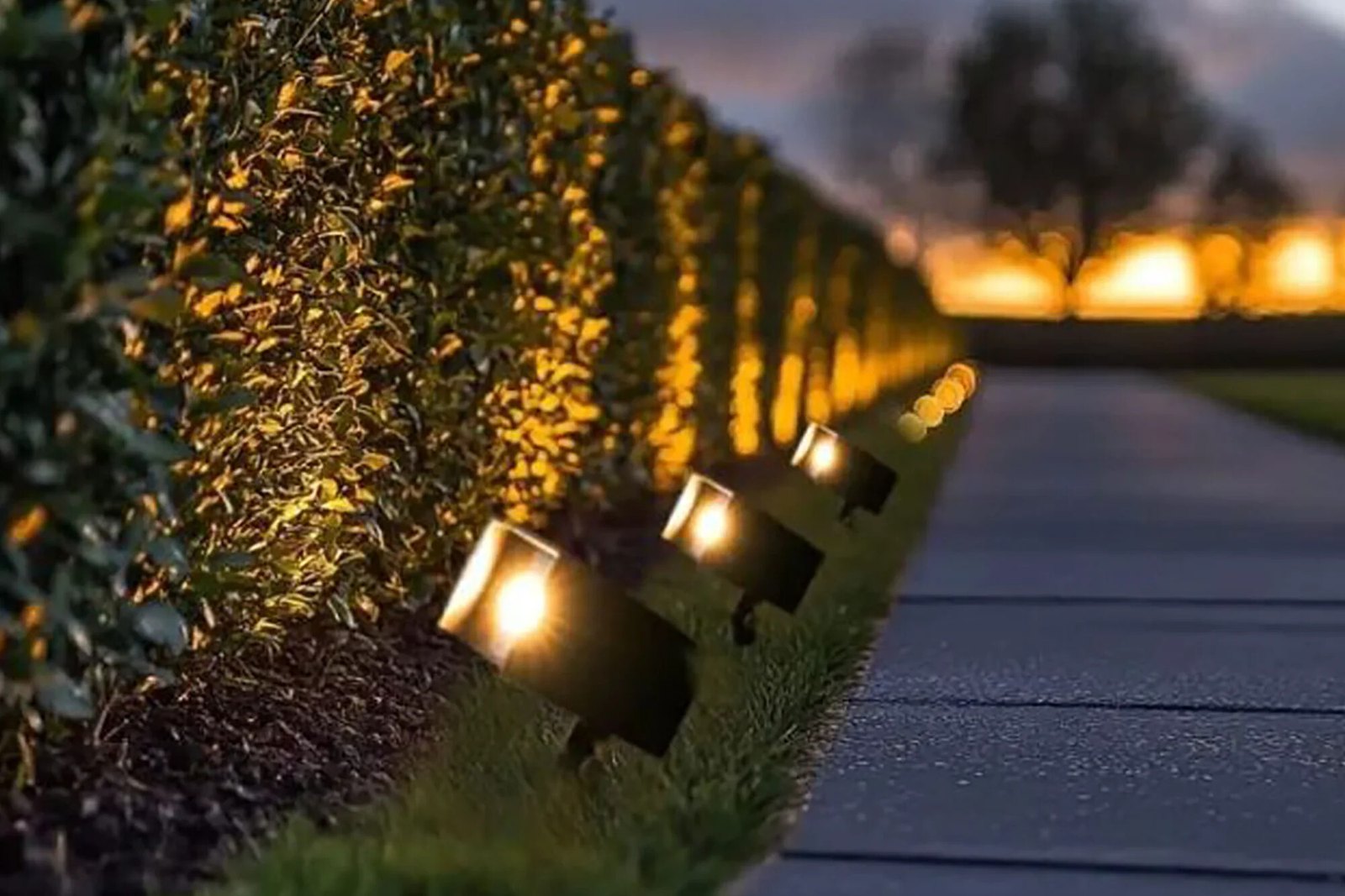 Path & Walkway Lighting — Path & Walkway Lighting project in Portland, OR